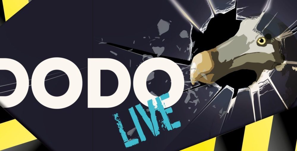 Dodo live liggend zonder tekst